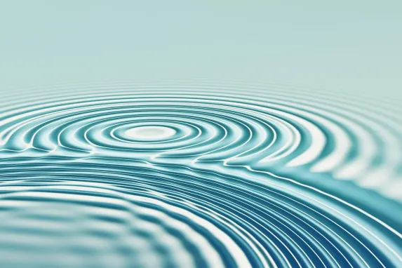 Jaak Casino Stuðningur